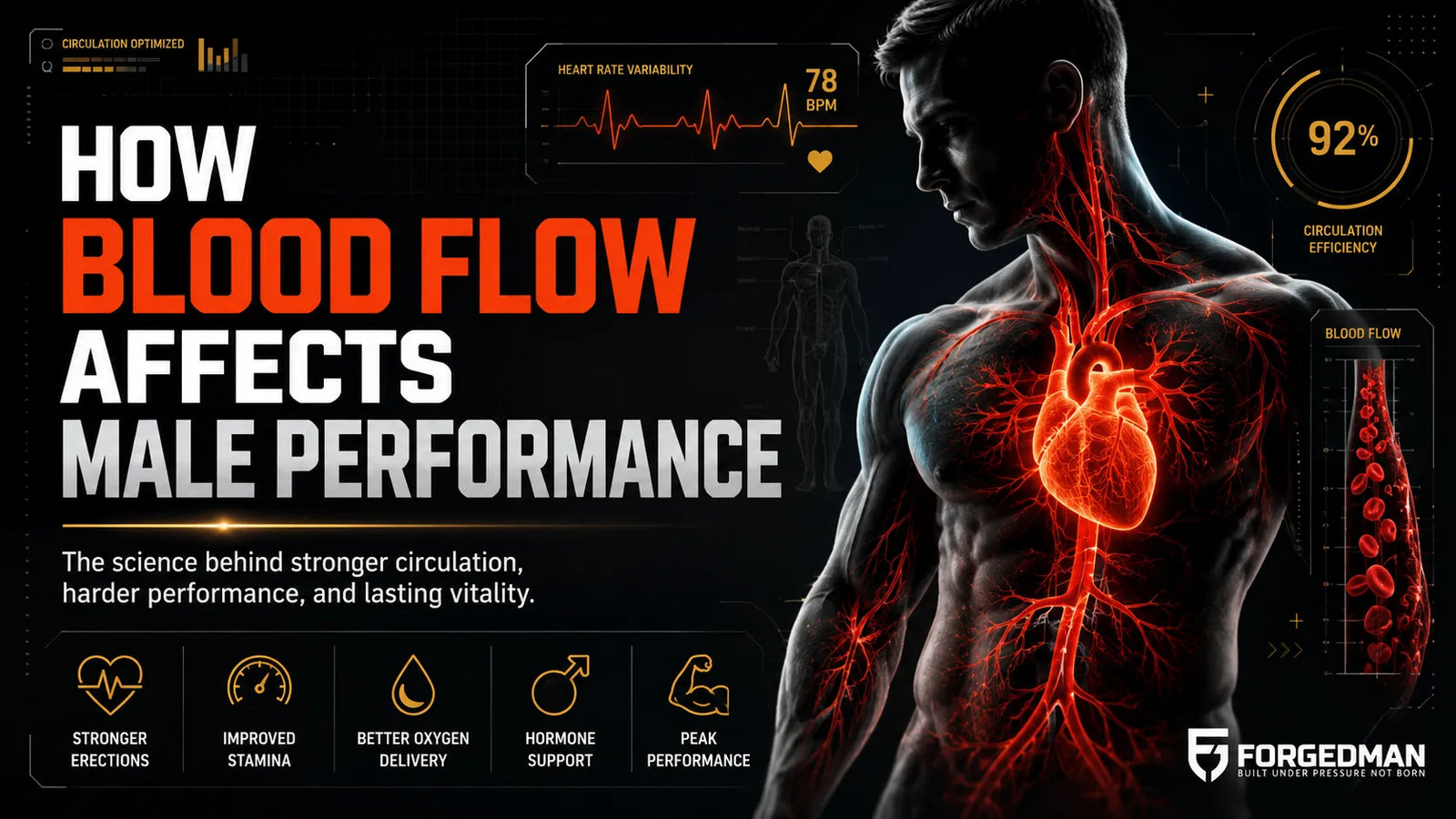 How blood flow affects male performance, futuristic ForgedMan blog graphic with circulation visuals, heartbeat data, and male performance icons